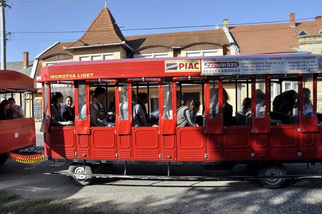 Verébtábor az Aranyban 07